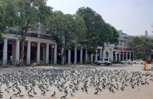 कौन है दिल्ली के सबसे महंगे इलाके Connaught Place का मालिक? हर महीने का किराया जानकर उड़ जाएंगे होश Delhi Connaught Place Owner